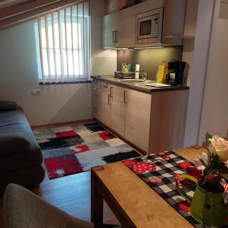 Appartements - Haus Sieberer - Apartment mit 1 Schlafzimmer und Dusche - 5