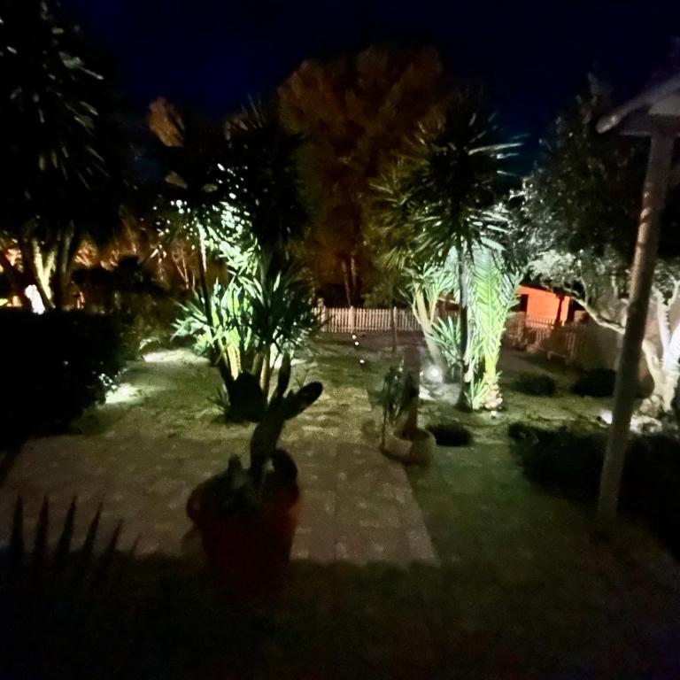L'oasi Una Pineta Sul Mare - Camera Matrimoniale con Vista Mare - 23