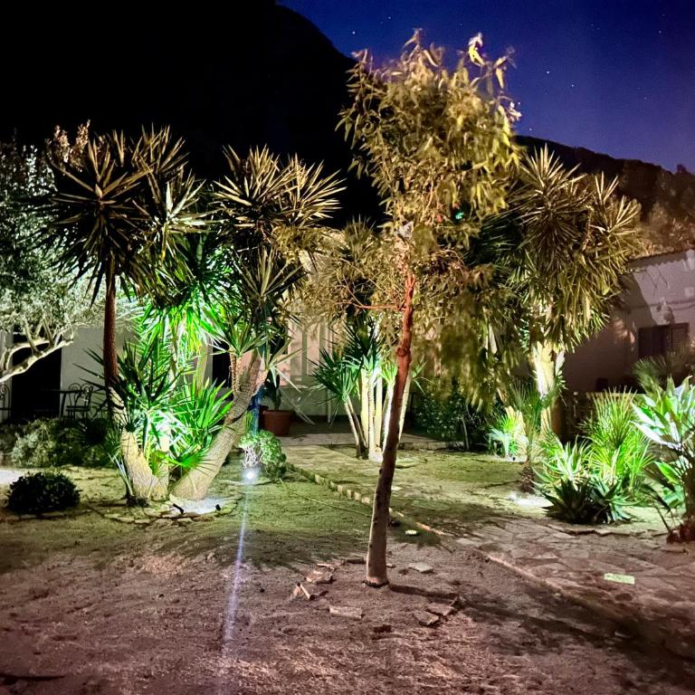 L'oasi Una Pineta Sul Mare - Camera Matrimoniale con Vista Mare - 24