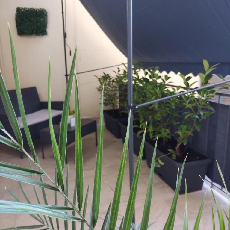 Tiny Home Di Carlo - Appartamento con 1 Camera da Letto - 24