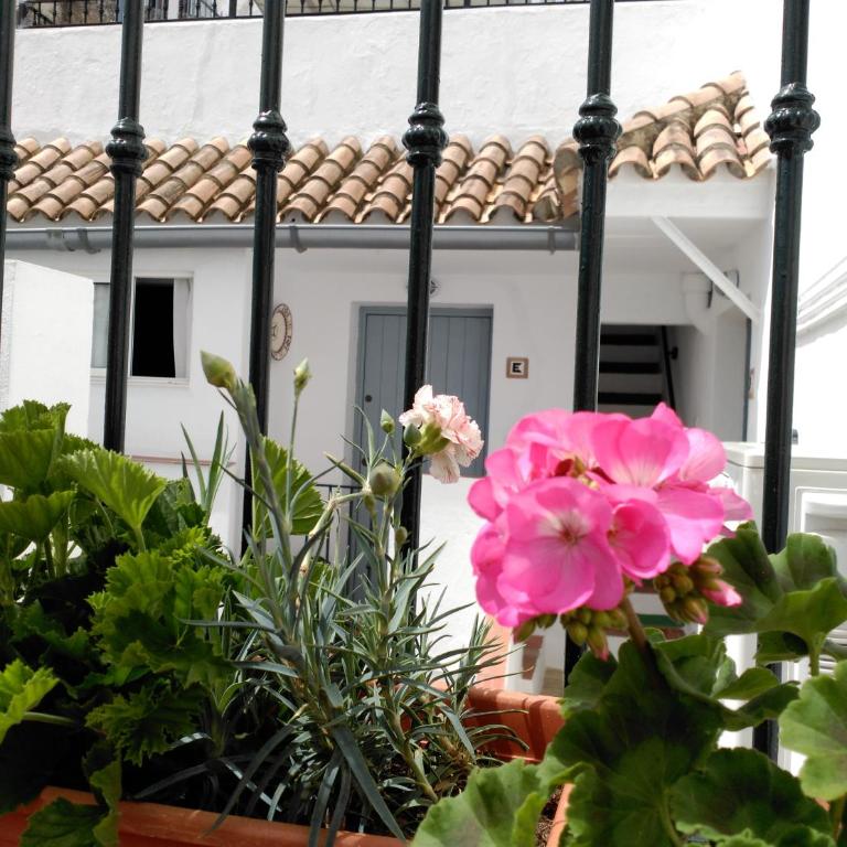 Apartamentos Casa la Costanilla - Apartment mit 1 Schlafzimmer (3 Erwachsene) - 18