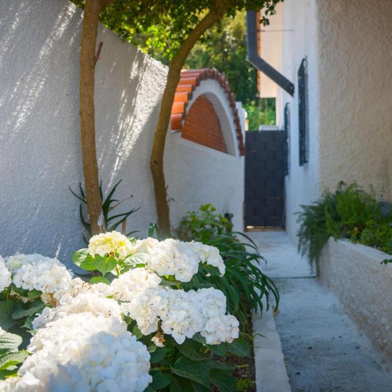 Villino Il Giardino - IC Immobiliare - Villa con 2 Camere da Letto - 17