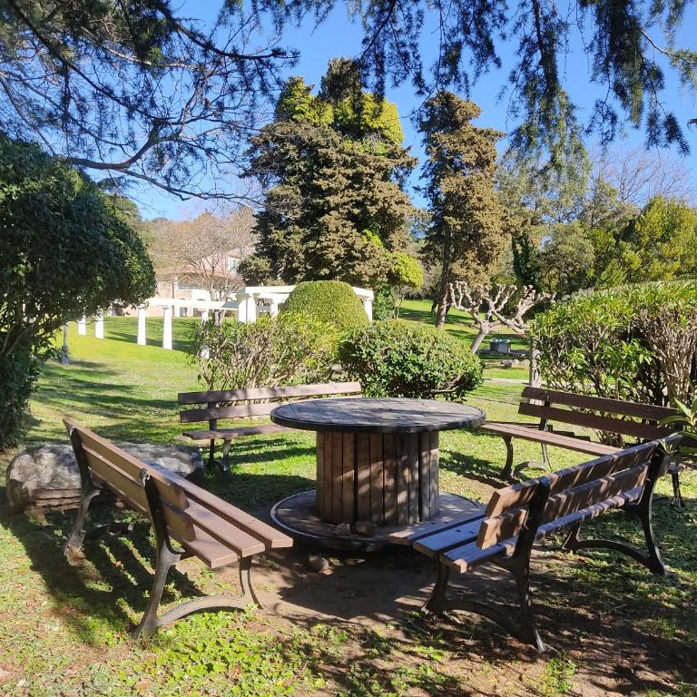 Escapade ensoleillée aux Parcs de Grimaud - Appartamento con 1 Camera da Letto e Vista Giardino - 9