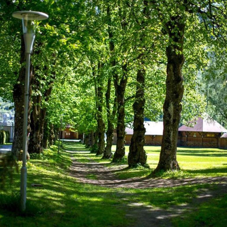 Zelt oder Camper Stellplatz am Campingplatz Raddörfl - Zelt - 6