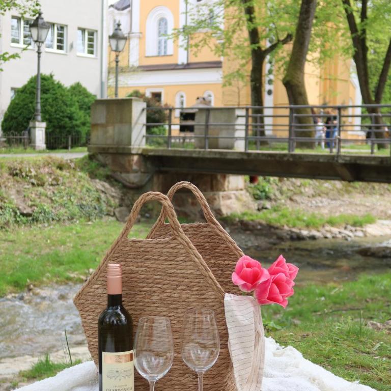 Banja Maison - Apartman sa 1 Spavaćom Sobom - 23