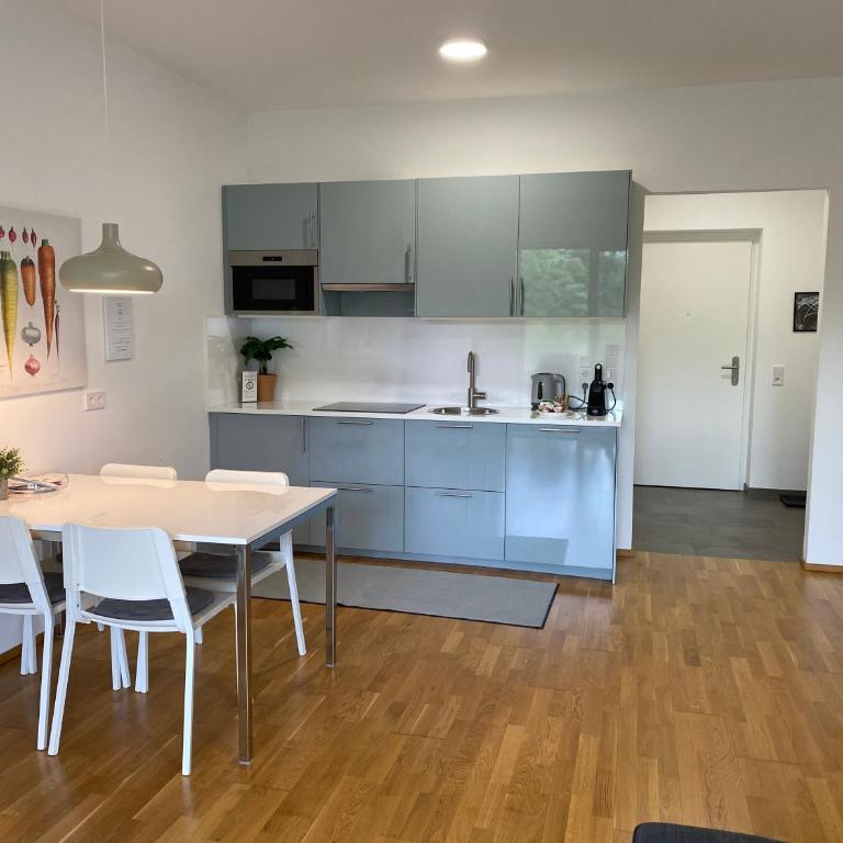 Ebelsberger Terrassen - Apartamento de 1 dormitorio - 6