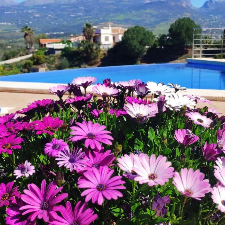 Villa Adelfas, Piscina infinity - Casa de 3 dormitorios - 14