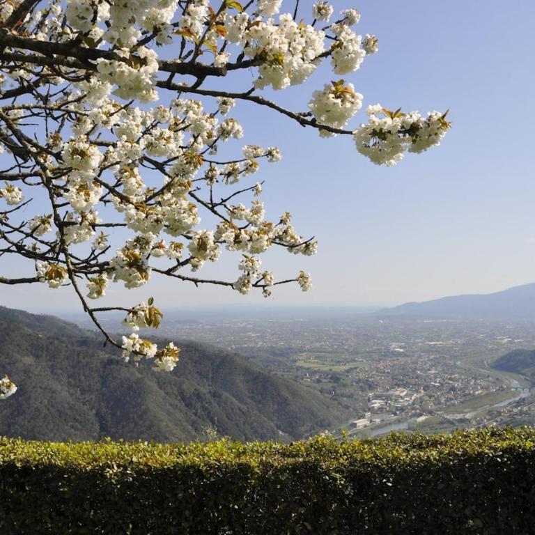 Casale Colle Belvedere - Casa con 4 camere da letto - 9