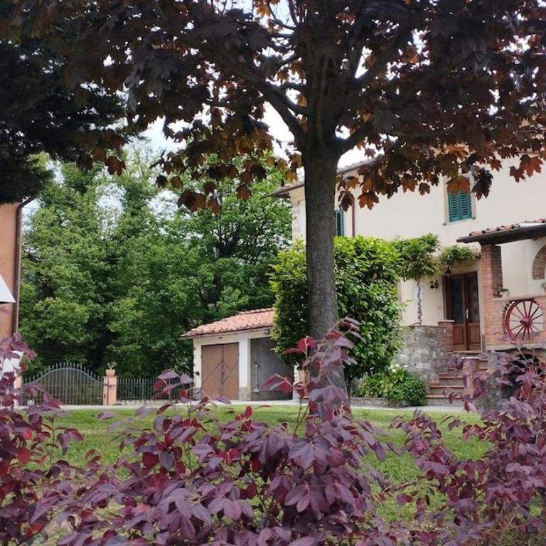 Casale Colle Belvedere - Casa con 4 camere da letto - 12