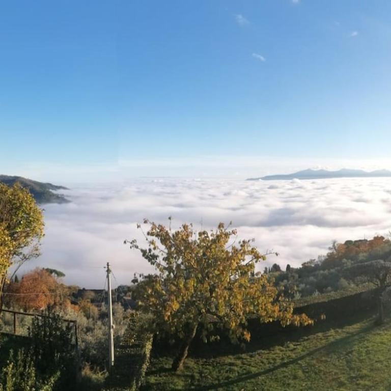 Casale Colle Belvedere - Casa con 4 camere da letto - 50