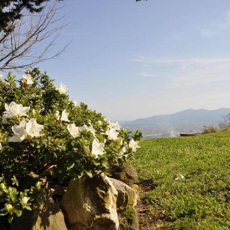 Casale Colle Belvedere - Casa con 4 camere da letto - 70