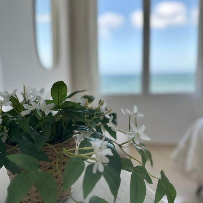Modern beachfront apartment 2 Bdrm , incredible views - Apartamento de 2 dormitorios - 20