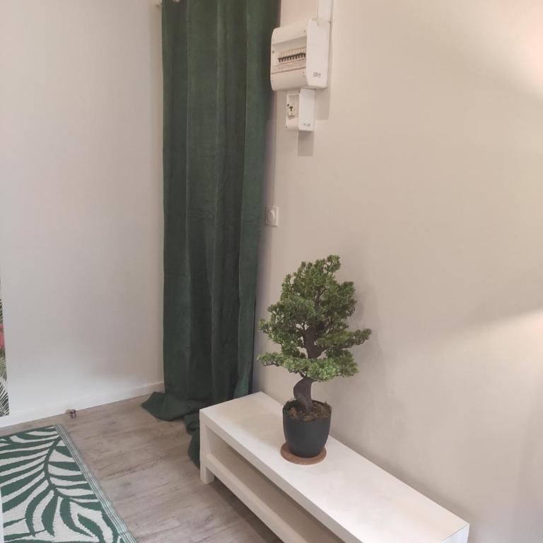 Tropicalissime - One-Bedroom Apartment - 17