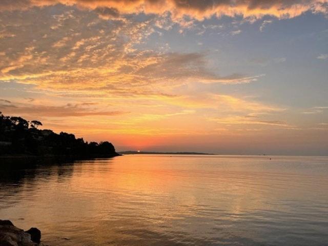 Cannes Palm Beach - Brand New Studio - Oasis of Calm - Appartement 1 Chambre - 30