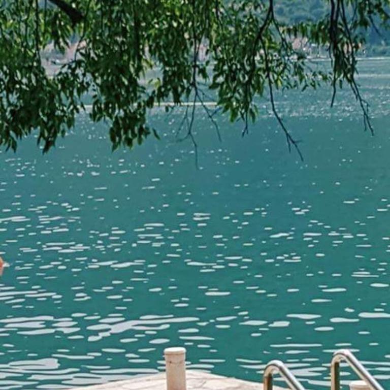 Montenegro Apartments - Private Beach - One-Bedroom Apartment - 1