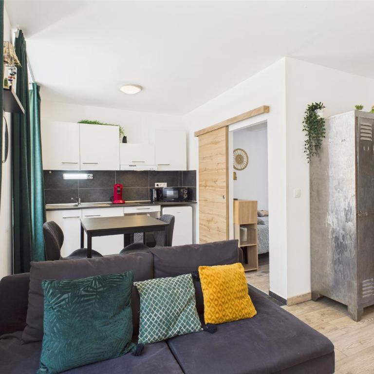 Cocon Zen Balneo - Appartement RDC proche centre Mulhouse - Apartamento de 1 dormitorio - 3