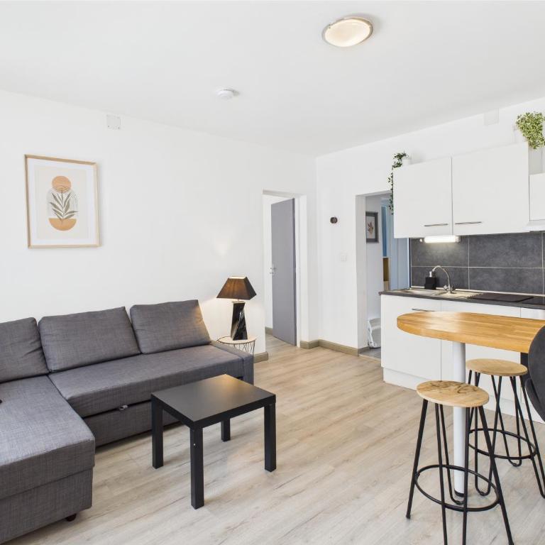 Cocon Blanca- 1er étage prox centre Mulhouse - Apartamento de 2 dormitorios - 1