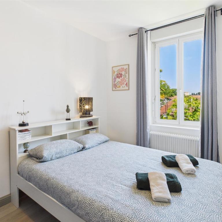 Cocon Blanca- 1er étage prox centre Mulhouse - Apartamento de 2 dormitorios - 9