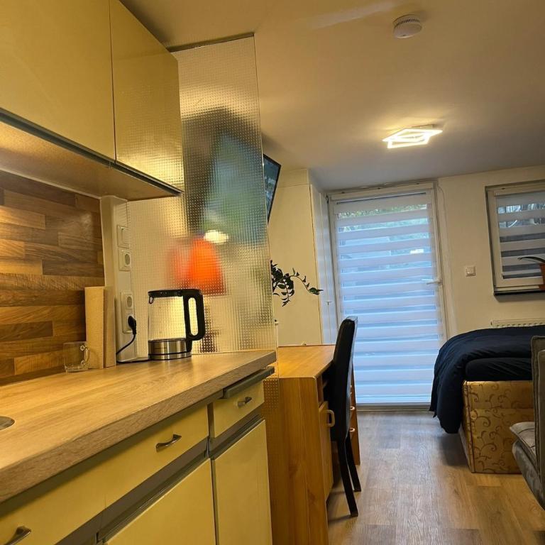 Souterrain-Apartment - Appartamento con 1 Camera da Letto - 9