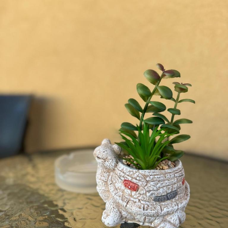 Airport apartments Jelena - Apartman sa 1 Spavaćom Sobom - 6