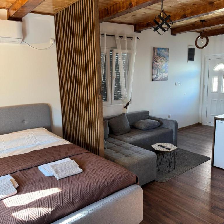 Airport apartments Jelena - Apartman sa 1 Spavaćom Sobom - 1