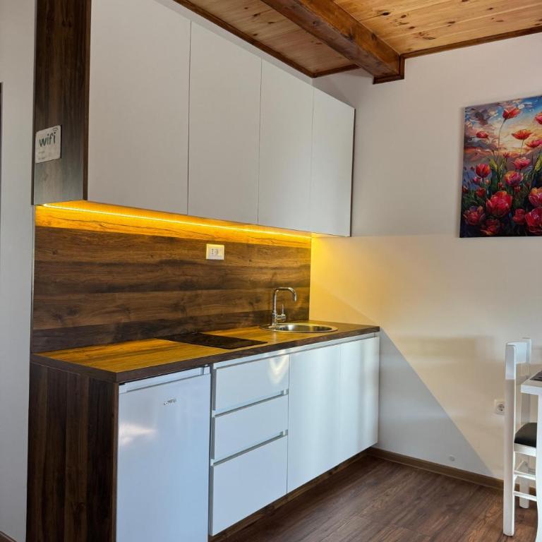 Airport apartments Jelena - Apartman sa 1 Spavaćom Sobom - 24