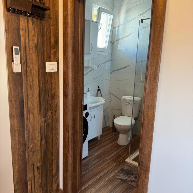 Airport apartments Jelena - Apartman sa 1 Spavaćom Sobom - 25