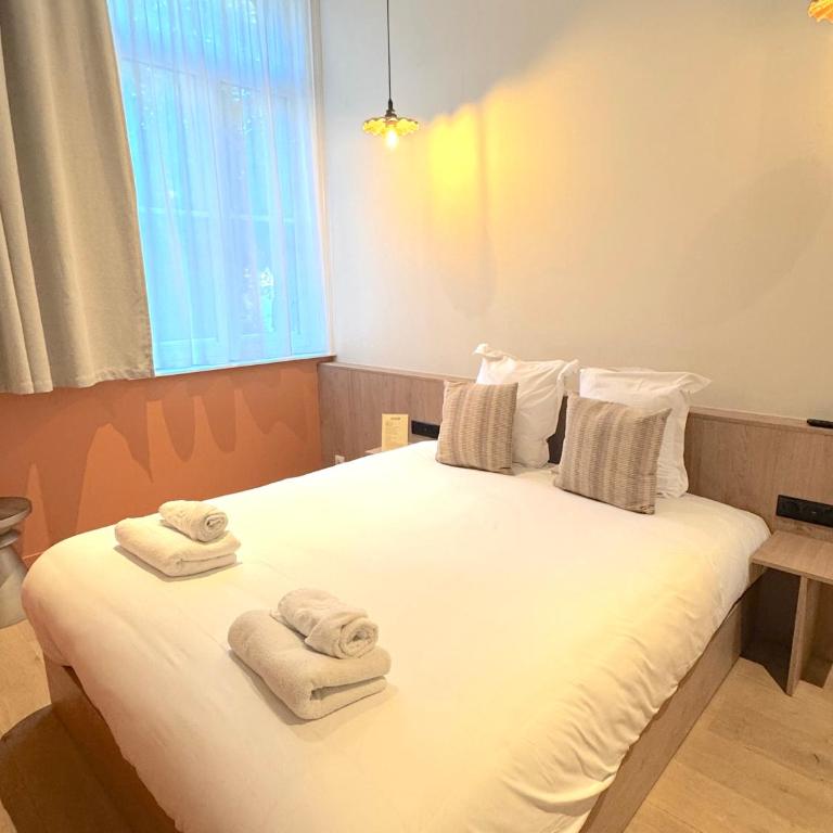 CENTRAL Hôtel Lille Centre - Chambre Double avec Salle de Bains Privative - 2