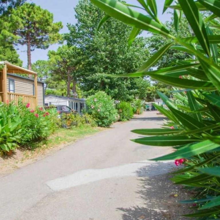 Camping 4 étoiles - Piscine - ccbbecb - Three-Bedroom Mobile Home - 16
