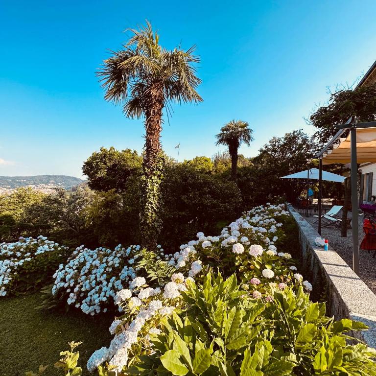Villa Adelaide Lakeview - Deluxe Double or Twin Room - 12