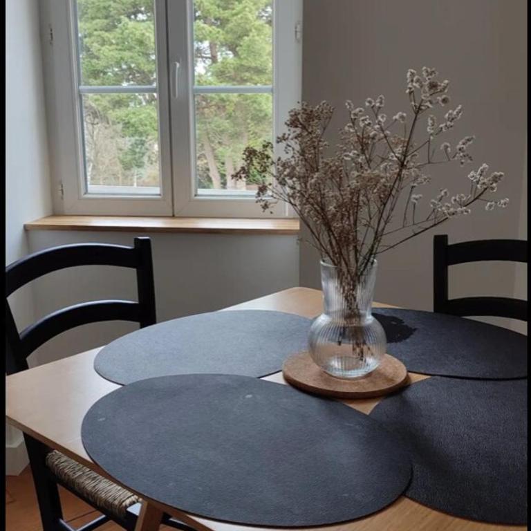 Emeraude - Superbe t2 lumineux - refait à neuf - Appartement 1 Chambre - 22