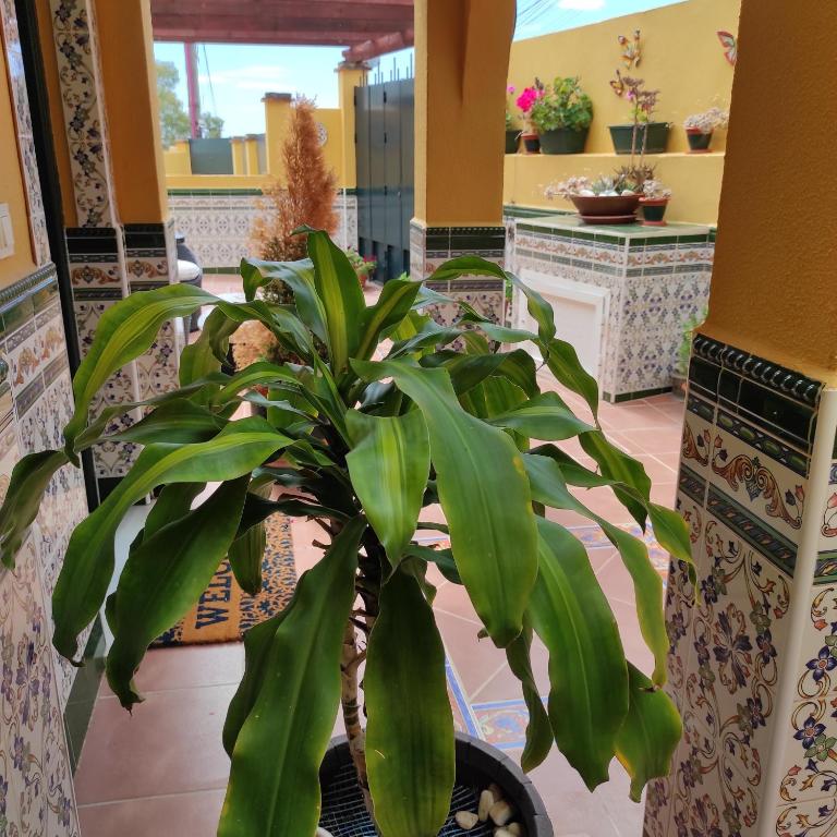 Paraíso del mar- Villa privada con piscina propia y vista al mar cerca de la playa - Casa de 3 dormitorios - 54