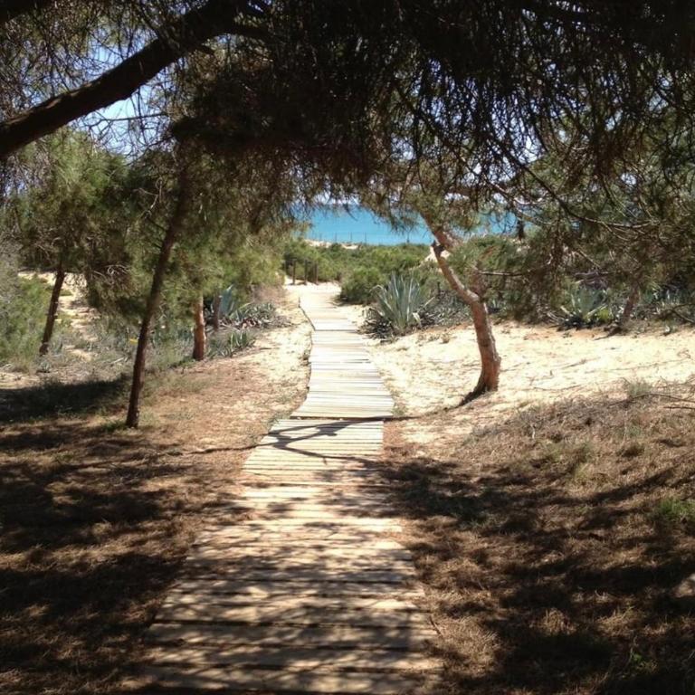 Beach bungalow, Torreblanca la Mata, Torrevieja - Casa - 27