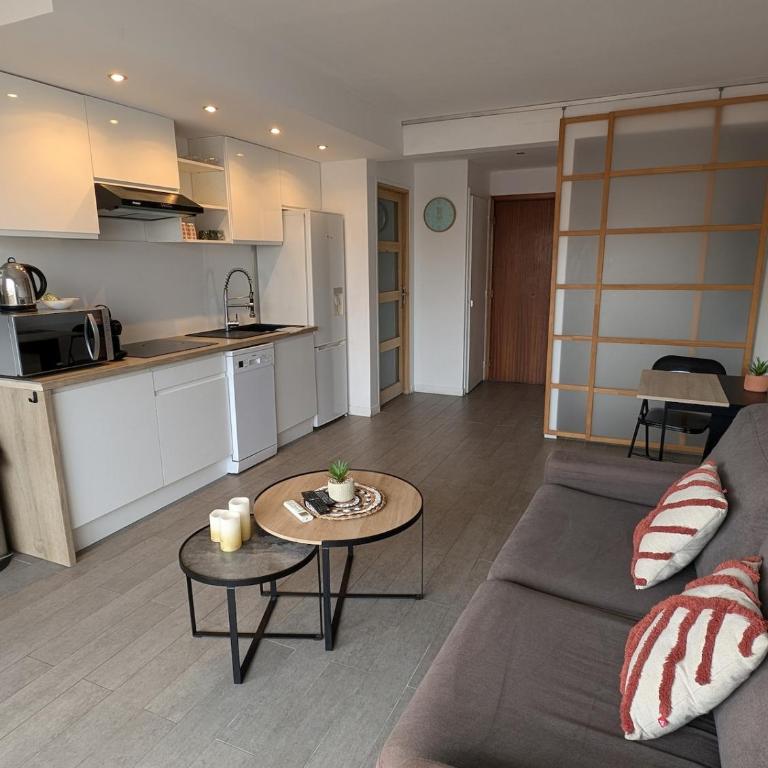 Agréable appartement plages et hypercentre - Appartement 1 Chambre - 4