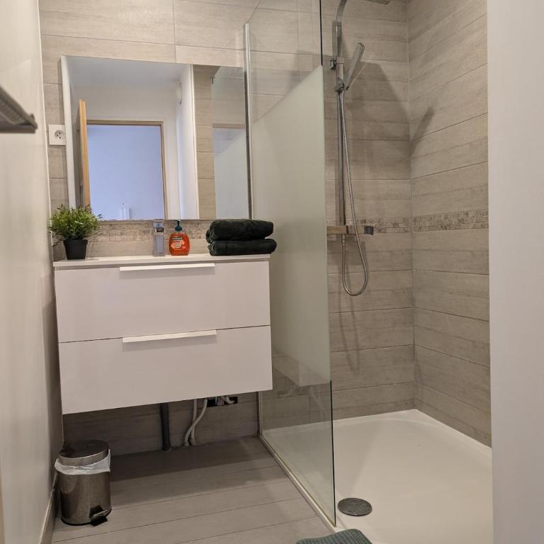 Agréable appartement plages et hypercentre - Appartement 1 Chambre - 9