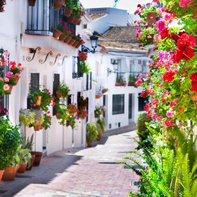 Lovely CASA DEL SOL close to the beach and Puerto Marina - Two-Bedroom Apartment - 50