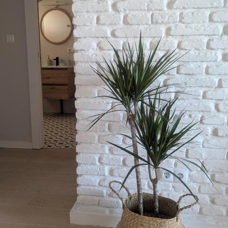 Lovely CASA DEL SOL close to the beach and Puerto Marina - Two-Bedroom Apartment - 28