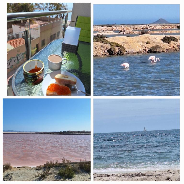Nice Apartment With Terrace on the Los Locos Beach - Apartment with Sea View - 2