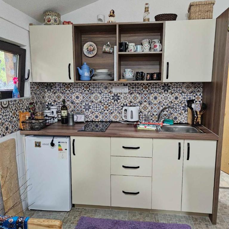 Kuca Vujisić - Apartman sa 1 Spavaćom Sobom - 4