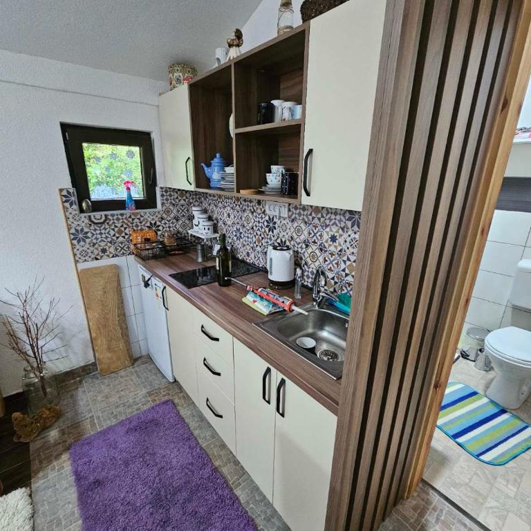 Kuca Vujisić - Apartman sa 1 Spavaćom Sobom - 6