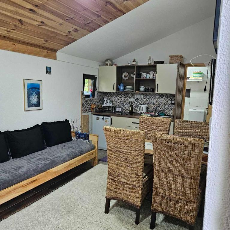 Kuca Vujisić - Apartman sa 1 Spavaćom Sobom - 24