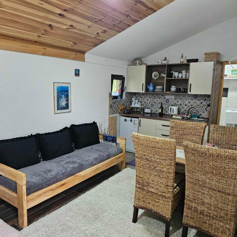 Kuca Vujisić - Apartman sa 1 Spavaćom Sobom - 26