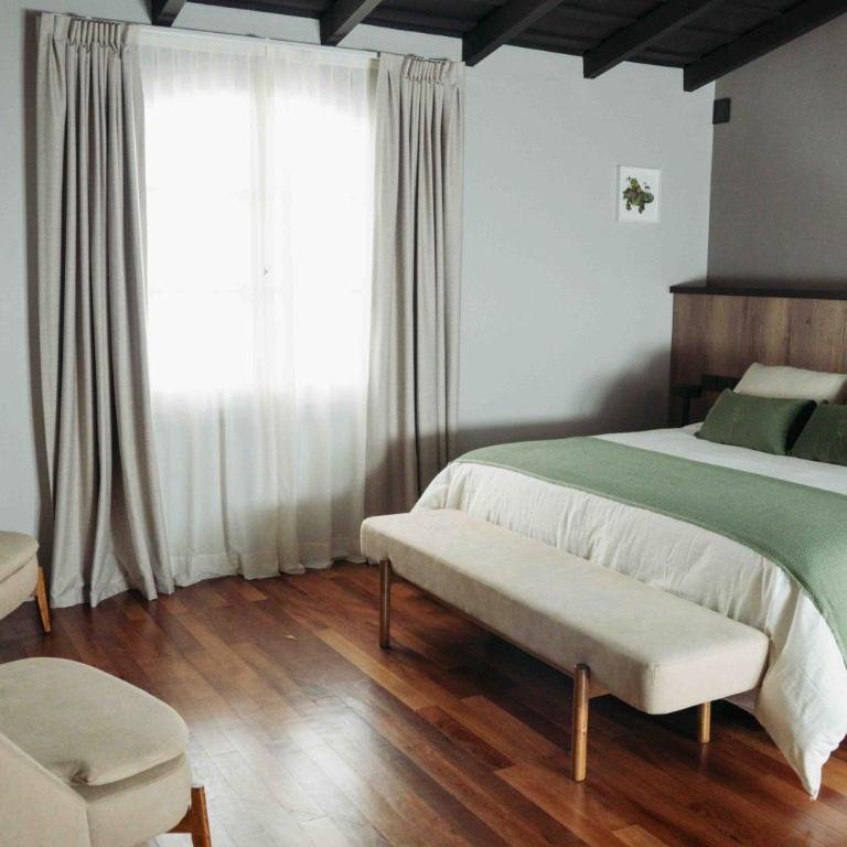 Casa Toledo - Suite - 4