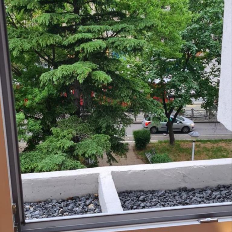 LUX Casa di Stefan - Two-Bedroom Apartment with Balcony and Terrace - 8