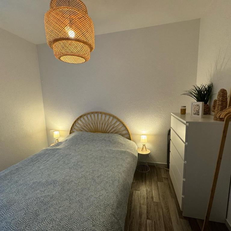 T2 centre ville, 150m du lac, parking - Thermes - Appartement 1 Chambre - 10