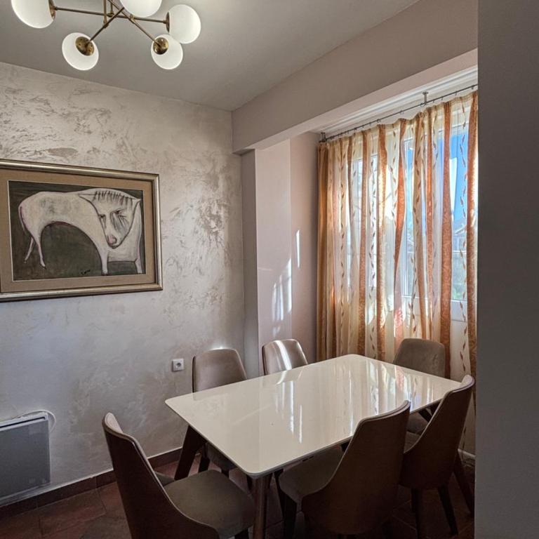 Irina's peaceful and comfort zone, center of Podgorica - Two-Bedroom Apartment - 2