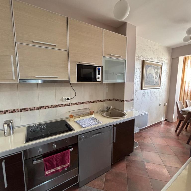 Irina's peaceful and comfort zone, center of Podgorica - Two-Bedroom Apartment - 8
