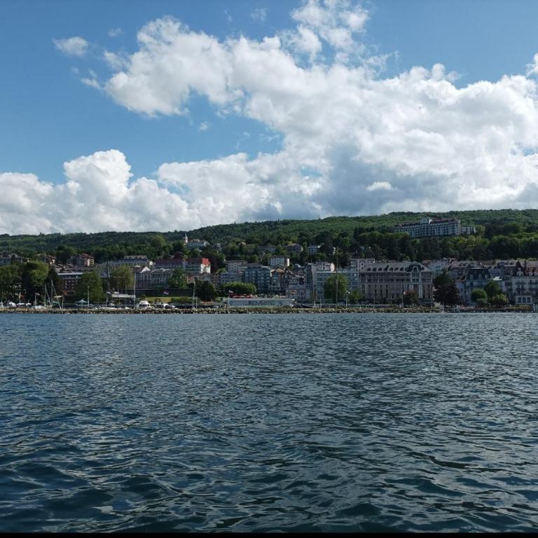 T2 centre ville, 150m du lac, parking - Thermes - Appartement 1 Chambre - 21