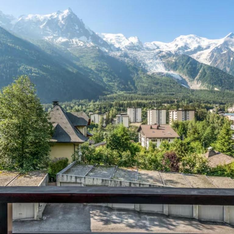 Grand Studio 25 m2, lumineux, central, vue Mont-Blanc - Appartement Classique - 1