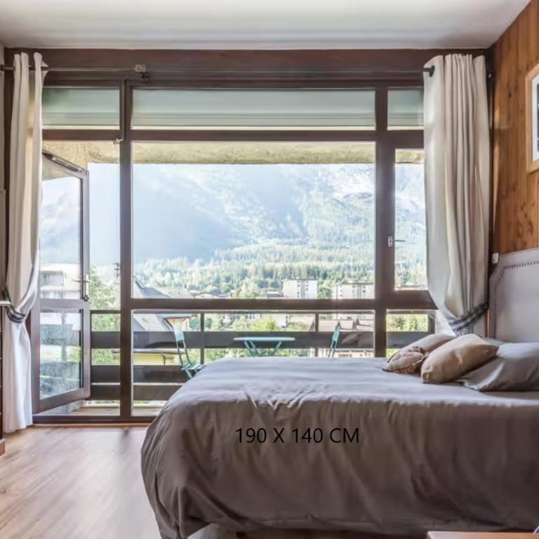 Grand Studio 25 m2, lumineux, central, vue Mont-Blanc - Appartement Classique - 2